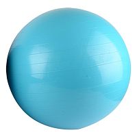 Watsons Anti-brust Gym ball 65cm. With Pump.