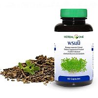 Капсулы противовоспалительного действия с экстрактом Бакопа Монье Bacopa Monnieri Extract Herbal One, Таиланд