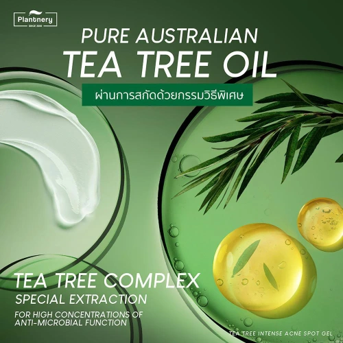 Plantnery Tea Tree Intense Acne Gel 15g фото 3