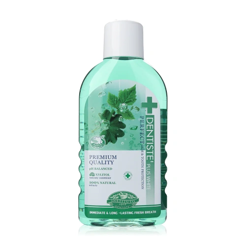 Dentiste Oral Rinse 450ml