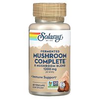 Solaray, ферментированный гриб ежовик гребенчатый, выращенный органическим способом, 600 мг, 60 вегетарианских капсул