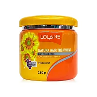 Lolane Natura Hair Treatment For Dry & Damaged 500g