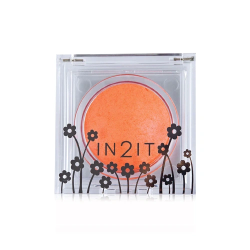In2It Sheer Shimmer Blush 4g