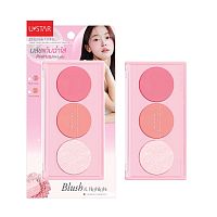 Ustar Zig Maxx Blush&Highlight 01