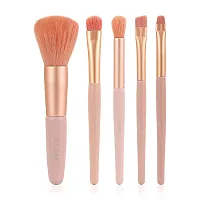 Ashley Peachy Brush Set 5 Items