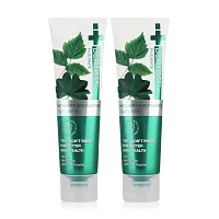 Dentiste Anticavity Max Fluoride Toothpaste Tube [45g x 2pcs]