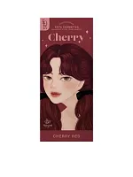 Hair Dye Kota Cosmetics Color Cream Size 200 mL Cherry - 100% оригинал