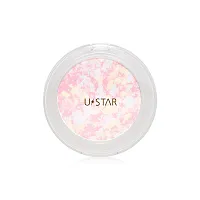 U-Star Light Reflecting Powder 9g