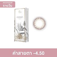 Pegavision Daily Kaori Rosemary Brown -4.50 (10 pcs)