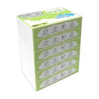 DODOLOVE Soft Tissue Paper [100 Sheets x 6pcs]