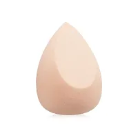 Naree Perfect Sponge Blender 1pc