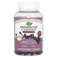 Nature's Way, Sambucus, стандартизированный экстракт бузины для детей, 60 жевательных конфет