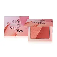 ShadeToo 2 Color Blush On Edition 6.3g