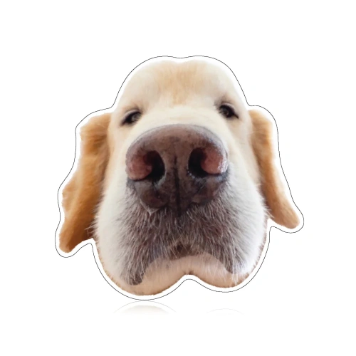 Joommeng Mee Arai Key Chain 1pc