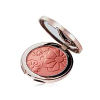 Bisous Bisous Duo Blusher 10g