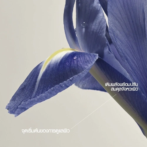 The Whoo Royal Regina Energetic Repair Serum 30ml фото 4