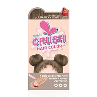 Freshful Crush Hair Color Ash 120g