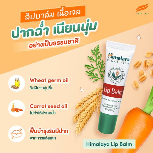 Himalaya Lip Balm [10g x 2pcs] фото 2