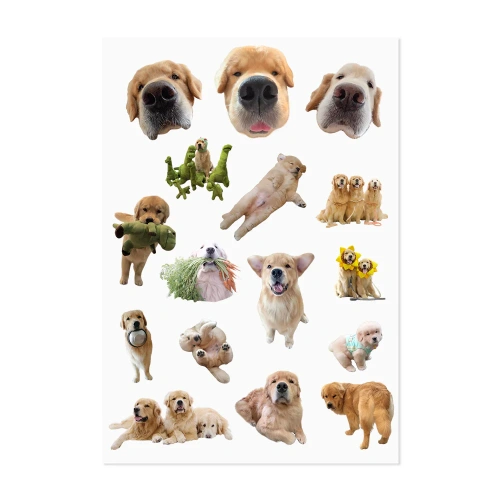 Joommeng Mee Arai Sticker A5 1pc