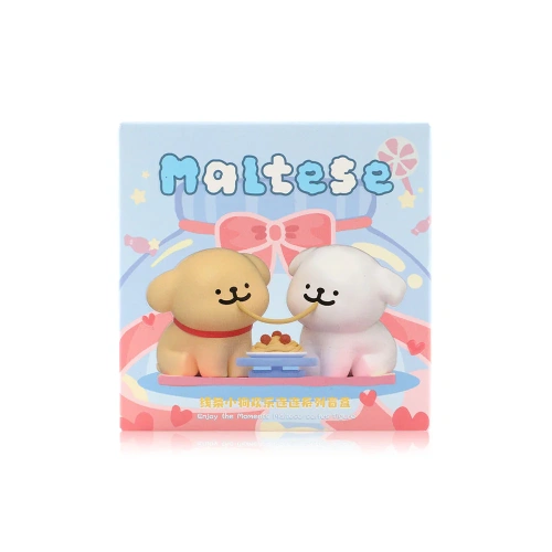 Maltese Enjoy The Moments