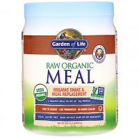 Garden of Life, Сырая органическая закуска, органический заменитель коктейлей и пищи, чай с ванилью и специями, 454 г (16 унций)