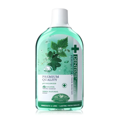 Dentiste Oral Rinse 700ml