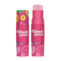 SCUTi Blush Stick 6g