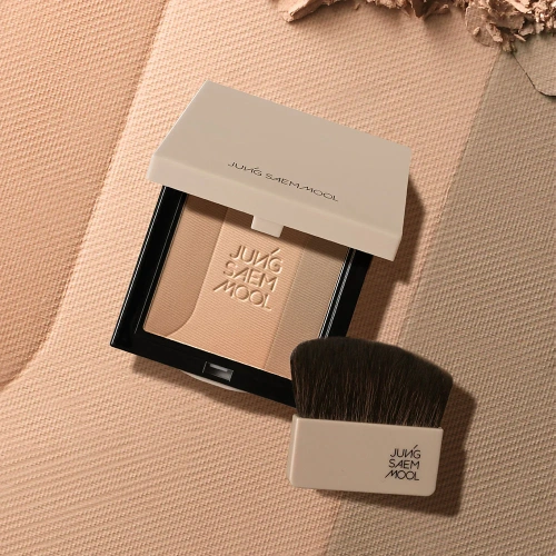 Jung Saem Mool Skin Nuder Shading Pact 10g фото 2