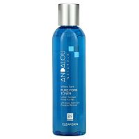 Andalou Naturals, тоник для очищения пор, ивовая кора, 178 мл (6 жидк. унций)