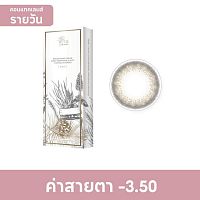 Pegavision Daily Kaori Laurel Brown-3.50 (10 pcs)