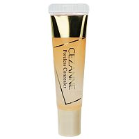 Cezanne Poreless Concealer 11g.