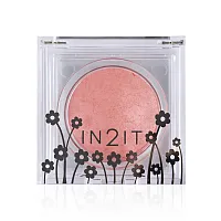 In2It Sheer Shimmer Blush 4g