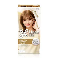 Liese Creamy Bubble Color 108g