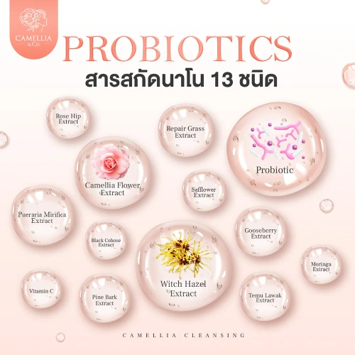 CAMELLIA Probiotic Cleansing Sensitive 185ml фото 3