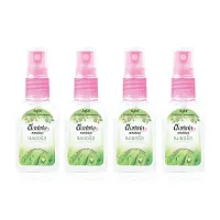 Soffel Spray Freshl [30ml x 3pcs]