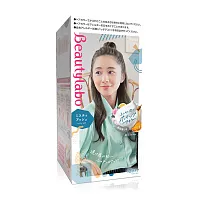 Beautylabo Whip Hair Color 125g