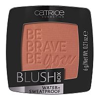Catrice Blush Box 6g.060