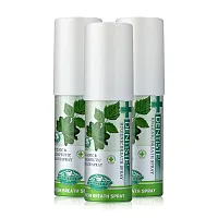 Dentiste Hygienic Breath Spray [15ml x 3pcs]
