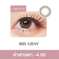 Pegavision Monthly Kaori Iris Gray -4.00 (2 Lens/box)