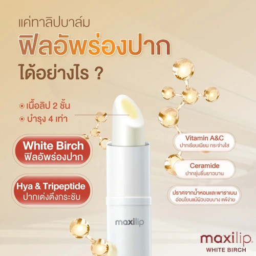 Mentholatum Maxilip White Birch 3.8g фото 2