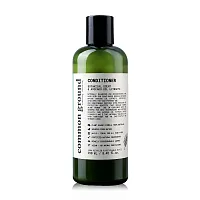 Common Ground Conditioner Botanical Scent 250ml