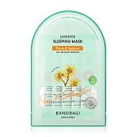 BANOBAGI Pore & Sebum Expertise Sleeping Mask 25ml