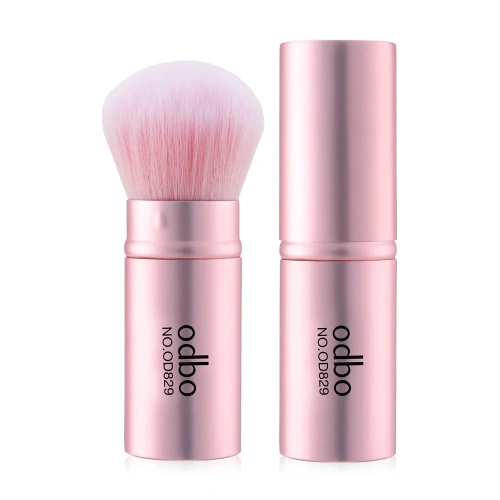 ODBO Perfect Brush OD829-01