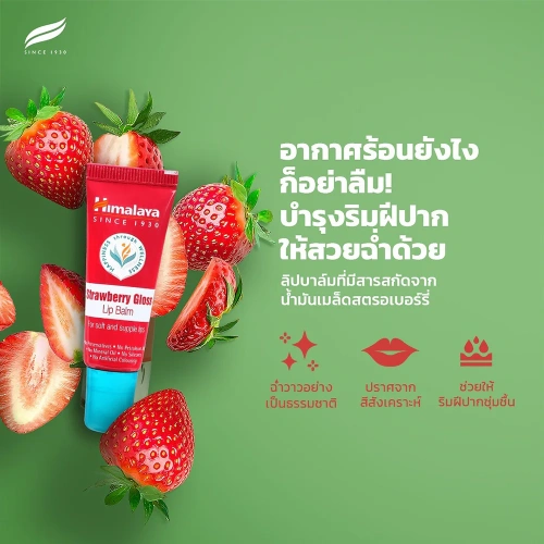 Himalaya Lip Balm 10g фото 3