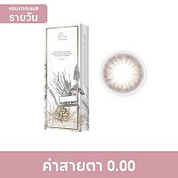 Pegavision Daily Kaori Rosemary Brown 0.00 (10 pcs)