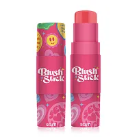 SCUTi Blush Stick 6g
