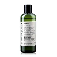 Common Ground Shampoo Botanical Scent 250ml
