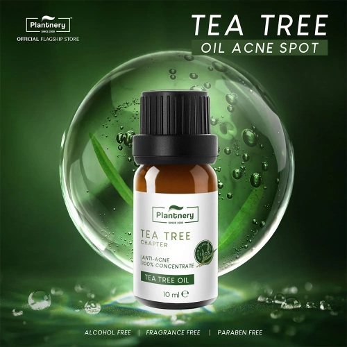 Plantnery Tea Tree  Oil Concentrate 10ml фото 2