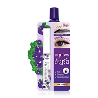 Meiji Butterfly Pea Lash & Brow Serum 3g
